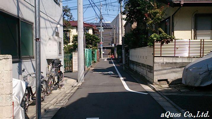 Local photos, including front road. Local (10 May 2013) Shooting