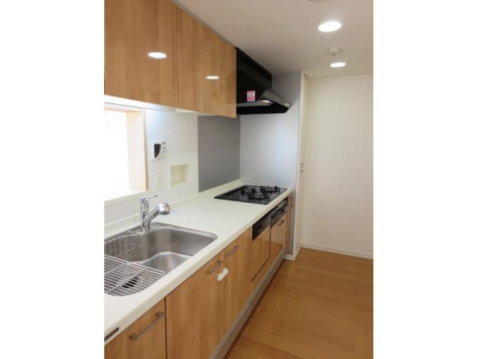 Kitchen. Dishwasher Water purification function shower faucet