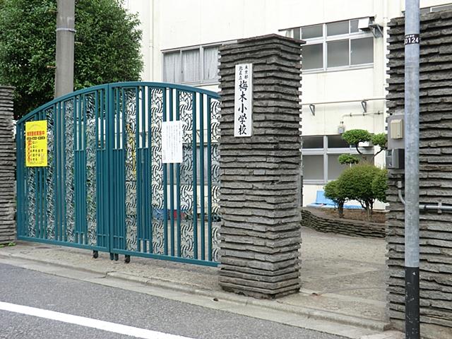 Primary school. Umeki 150m up to elementary school