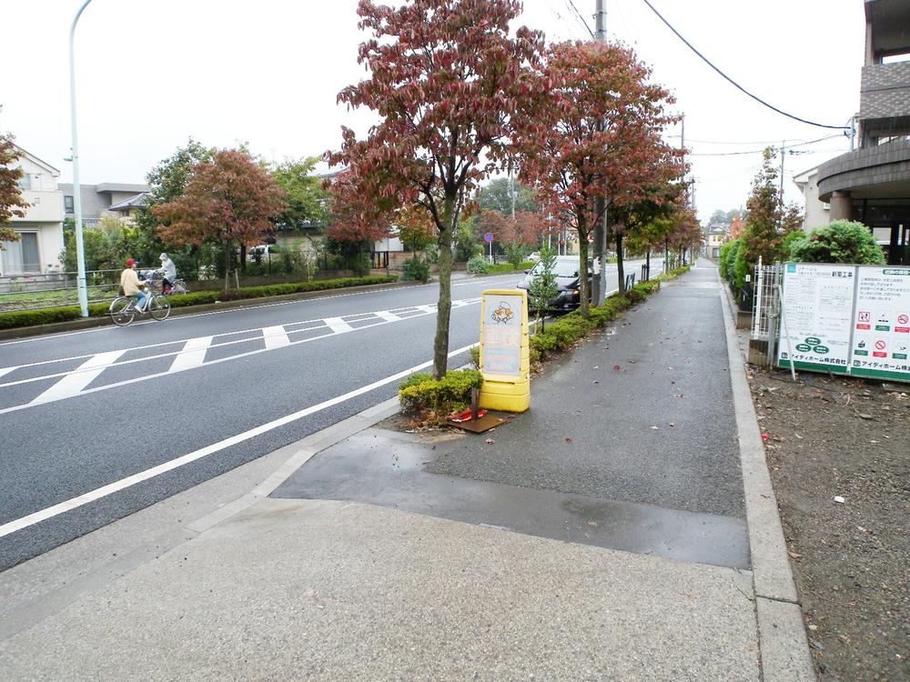 Local photos, including front road