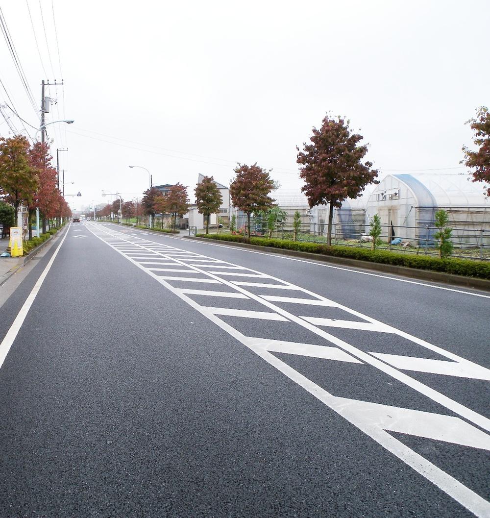 Local photos, including front road