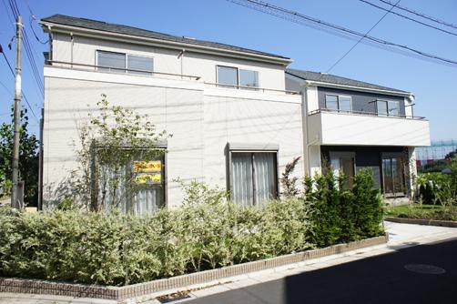 Living. Local October shooting