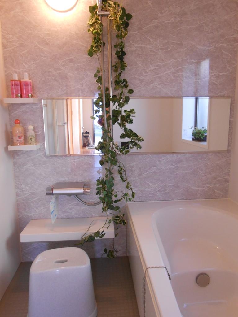 Bathroom. Indoor (11 May 2013) Shooting