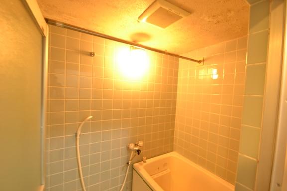 Bathroom. Indoor (09 May 2013) Shooting