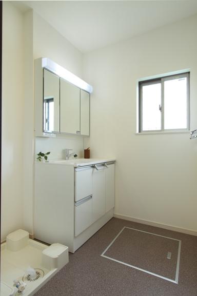 Other Equipment. Vanity with hand shower shampoo can also feel free to. Large storage mirror, Large capacity ball, Fitted with a towel bar.
