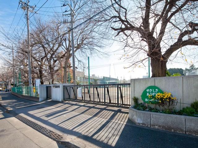 Primary school. Shibayama to elementary school 100m