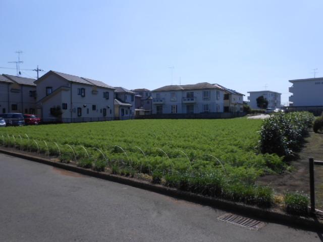 Other local. Local (September 2013) Shooting