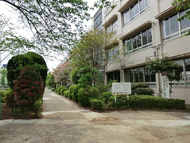 Junior high school. Kiyose 1000m to the third junior high school