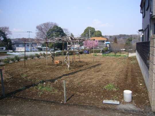 Local land photo. Current Status vacant lot