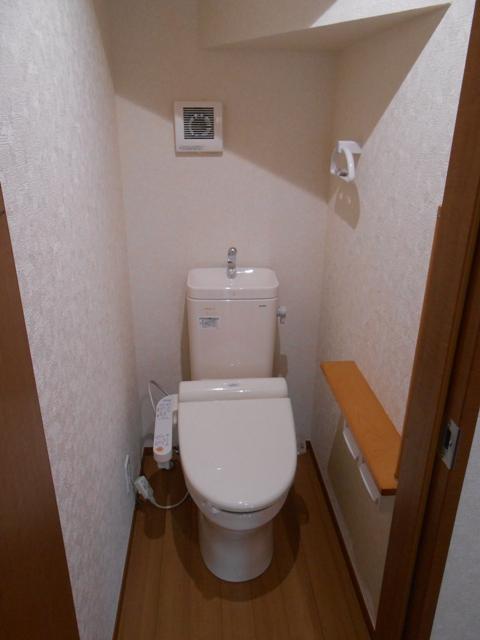 Toilet. Indoor (12 May 2013) Shooting