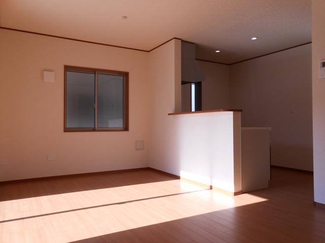 Living. Indoor (12 May 2013) Shooting