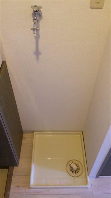 Wash basin, toilet. Washing machine Storage