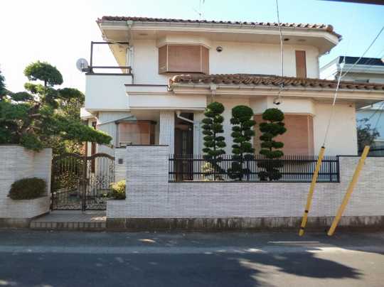 Local land photo. Appearance 1