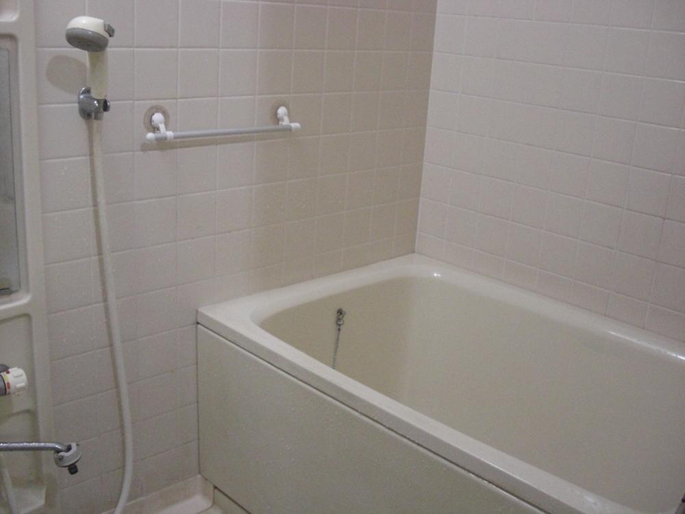 Bathroom. Indoor (10 May 2013) Shooting