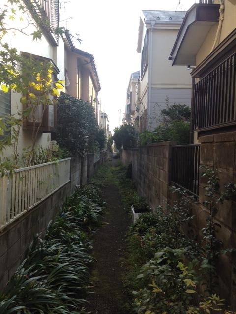 Other local. Local (12 May 2013) Shooting