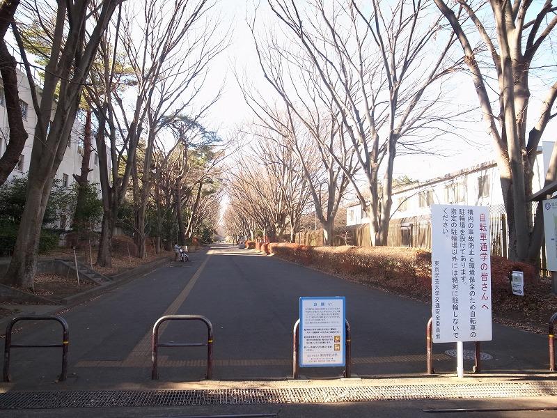 Junior high school. National Tokyo Gakugei University Faculty of Education, Koganei until junior high school 1220m