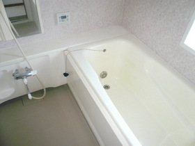Bath. Bathroom with reheating