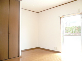 Living and room. South-facing sunny Western-style