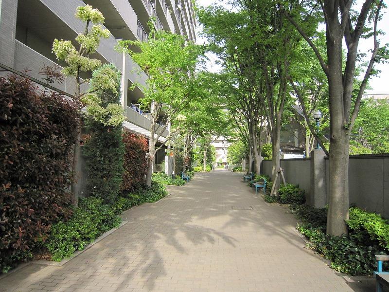 Other common areas. Common areas