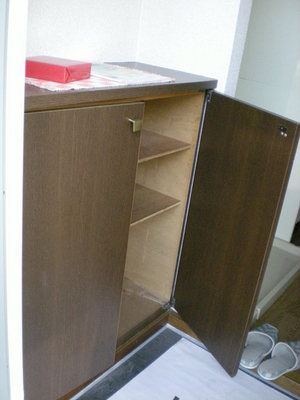 Entrance. Shoe box