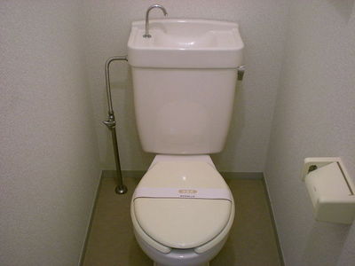 Toilet. Toilet
