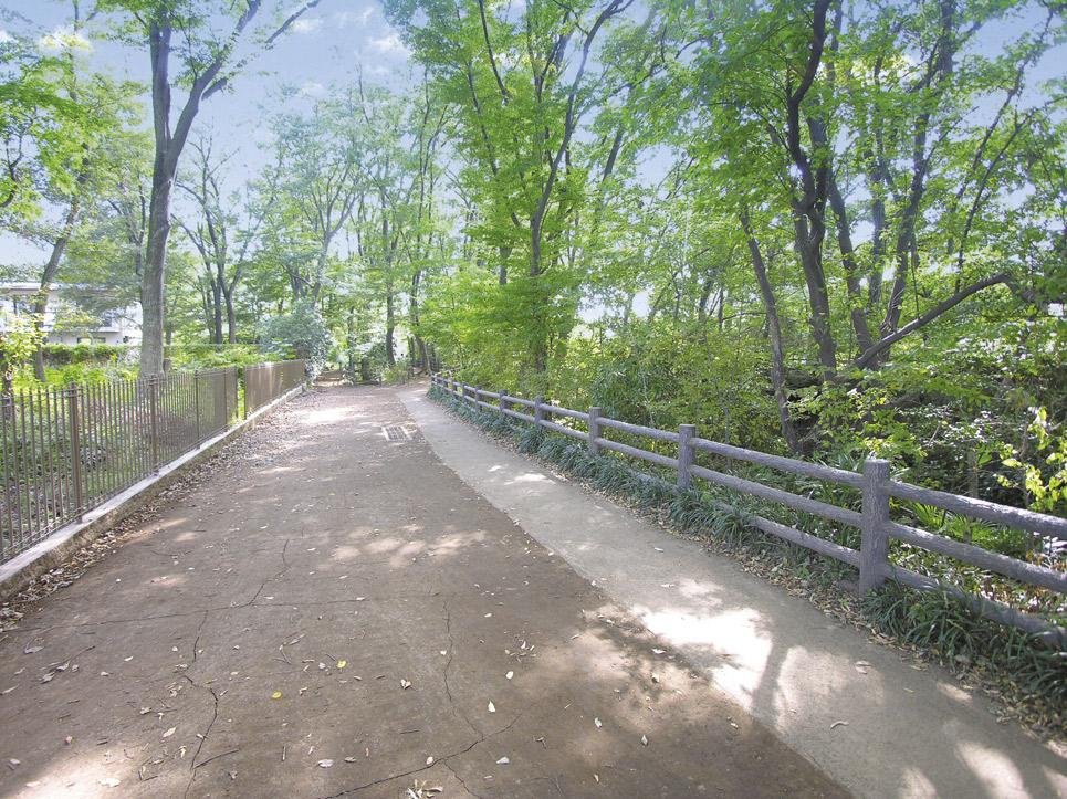 Other. Tamagawa green road