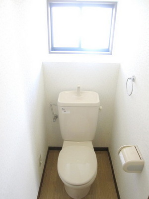 Toilet. ☆ Clean your toilet ☆