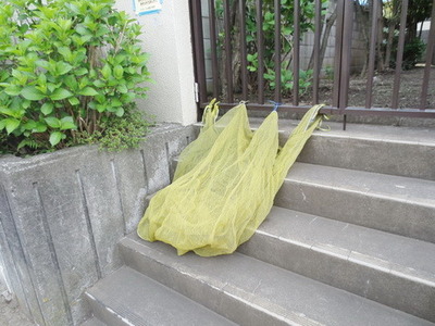 Other common areas. Garbage yard