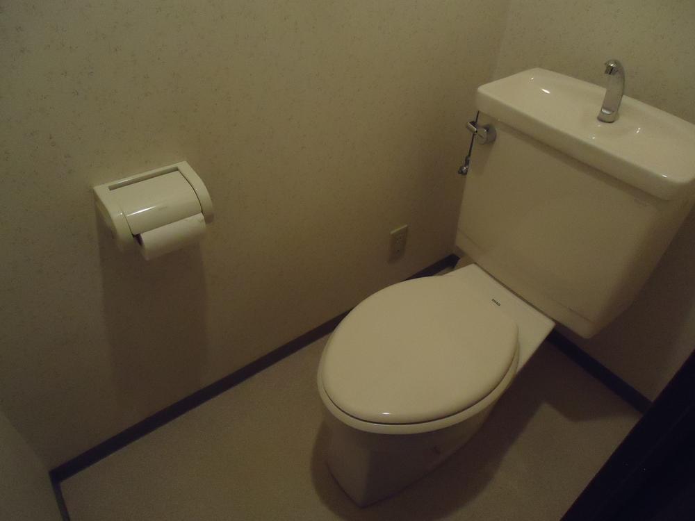 Toilet. Indoor (January 2013) Shooting