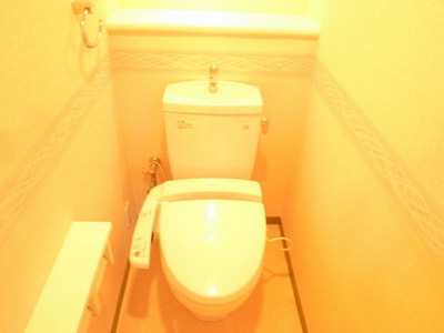 Toilet. Toilet