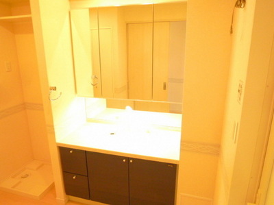 Washroom. Wash basin