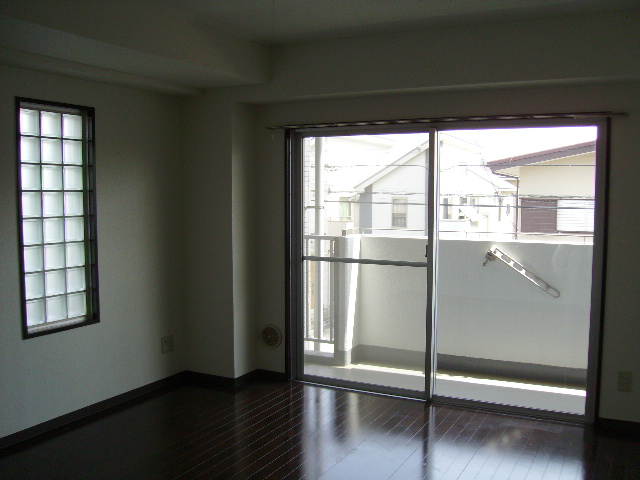 Living and room. Spacious south-facing living-dining!