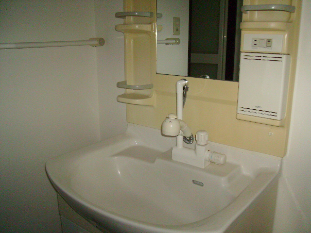 Washroom. Shampoo dresser