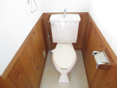 Toilet. Toilet