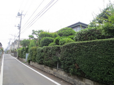 Other. Lush living environment