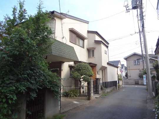 Local land photo. Appearance (1)