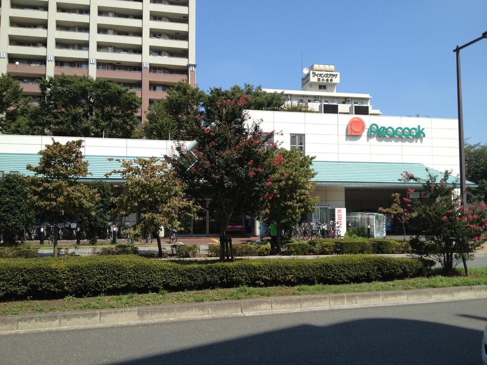 Supermarket. 1000m to Peacock