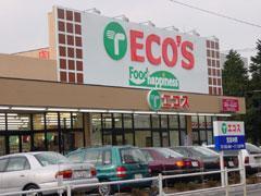 Supermarket. 190m until the Ecos Food Happiness (super)