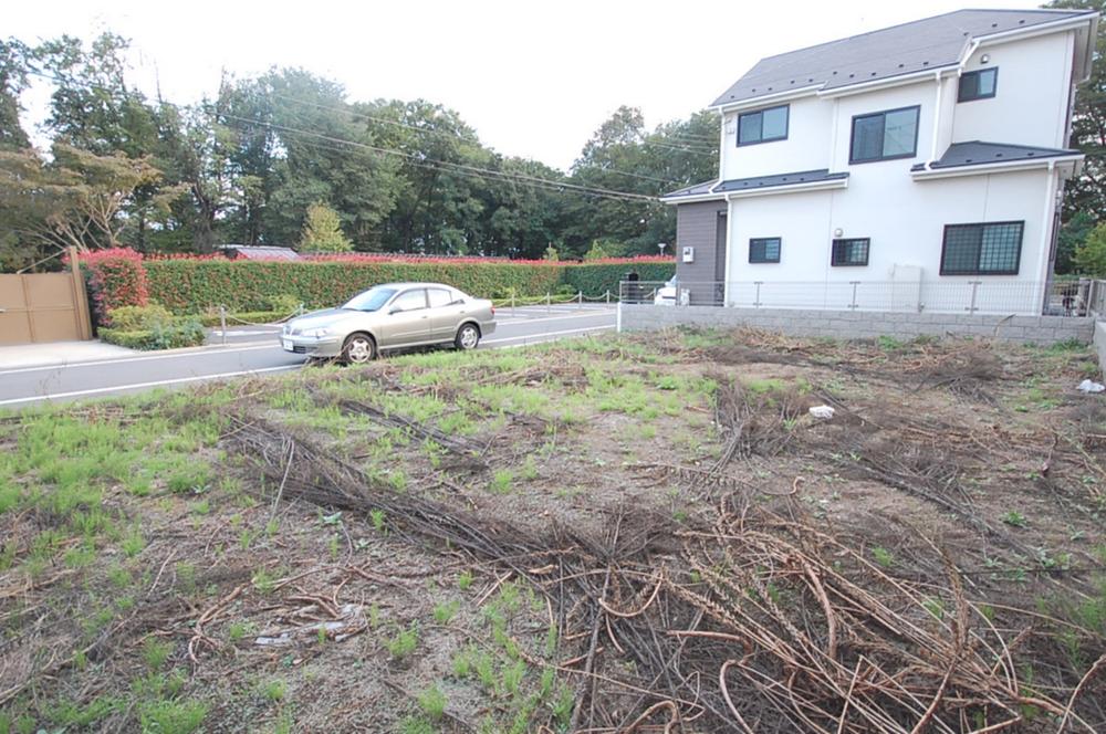 Local photos, including front road