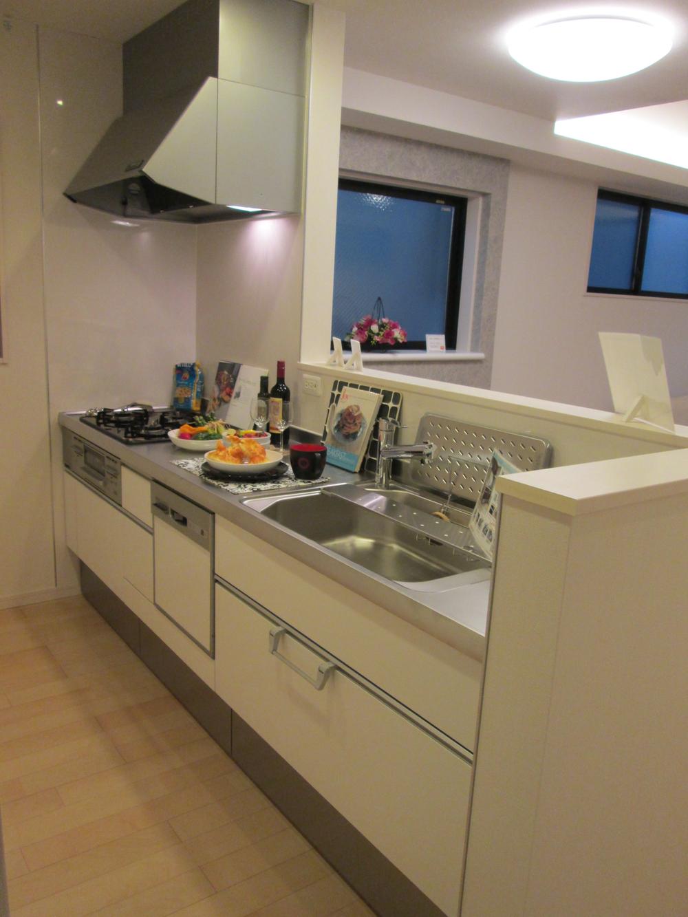 Kitchen. Indoor (11 May 2013) Shooting