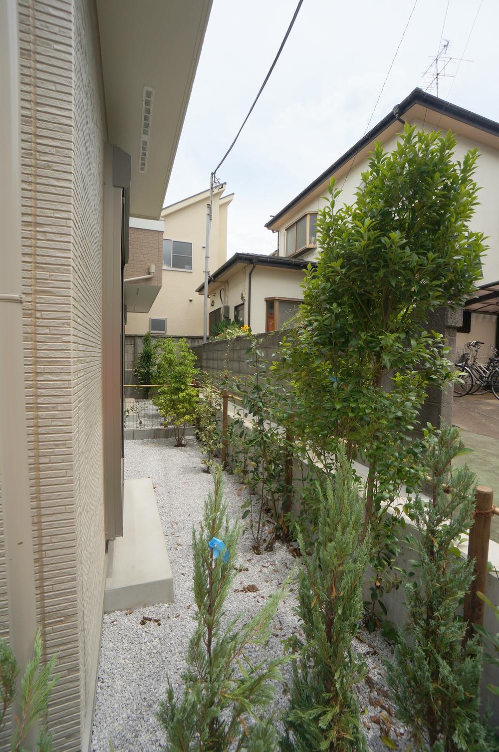 Garden. Local Photos