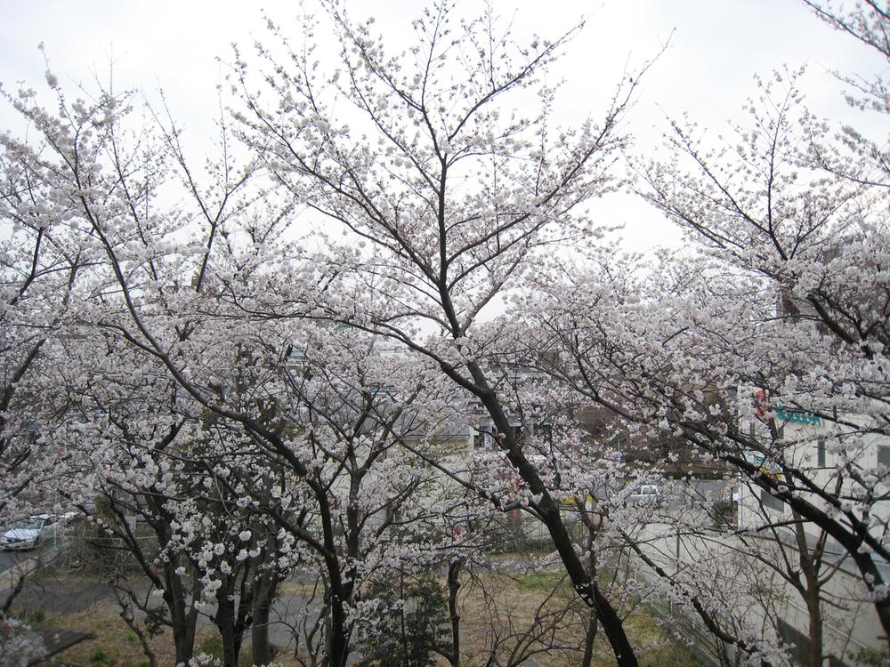 View photos from the dwelling unit. View from local (March 2013) Shooting