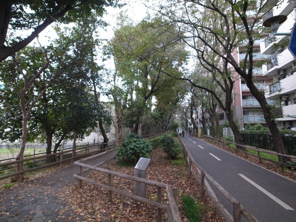 Other. Hanakoganei bike path (10m)