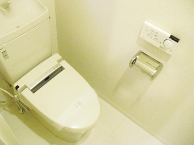 Toilet. Toilet