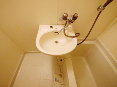 Washroom. Basin with bath