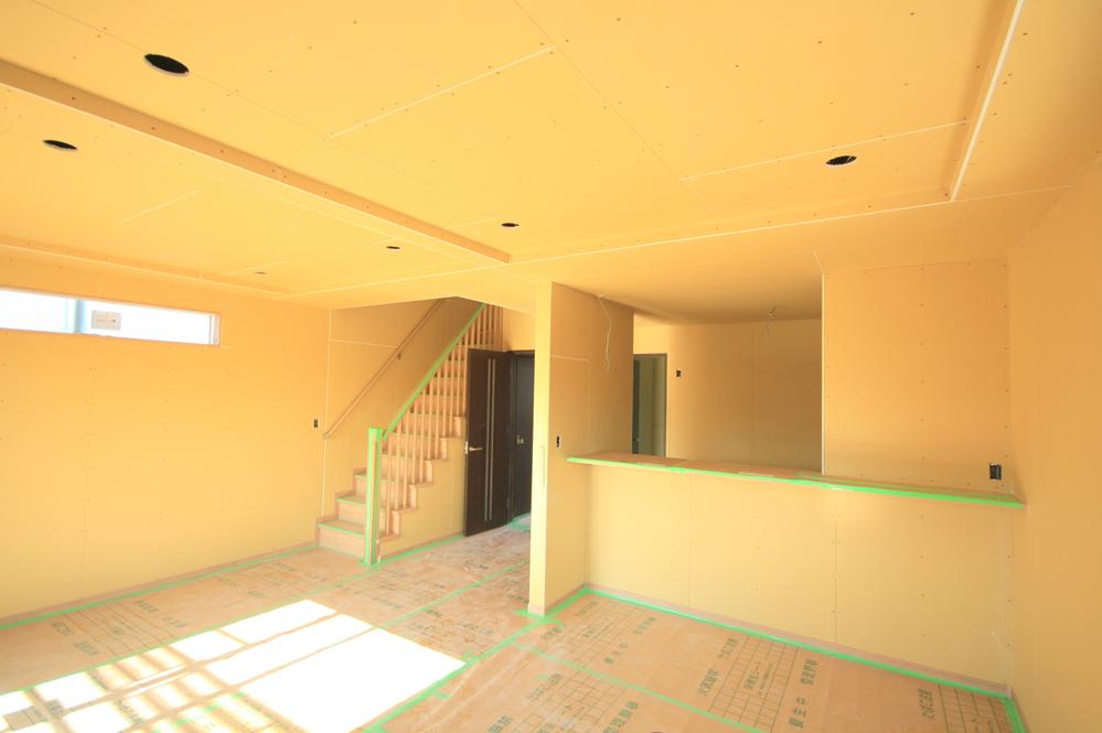 Other introspection. Local Photos