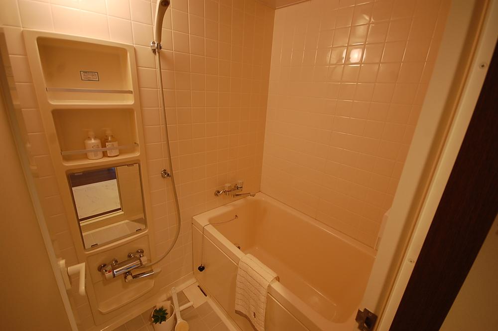 Bathroom. Local Photos