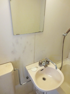 Washroom. Wash basin