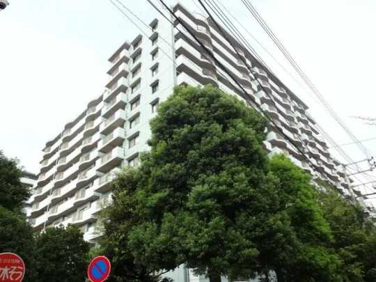 Local appearance photo. appearance