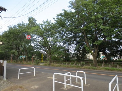 Other. Tamagawa 20m until the (other)